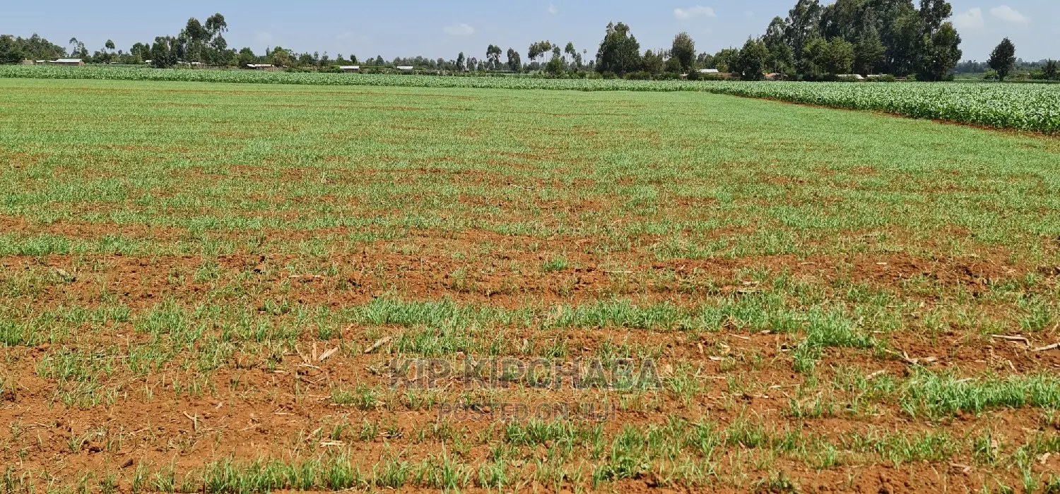 25 Acres Arable Land for Sale in Sergoit Moiben in Rldoret