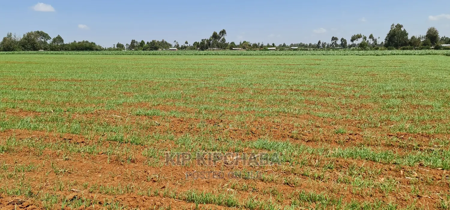 25 Acres Arable Land for Sale in Sergoit Moiben in Rldoret