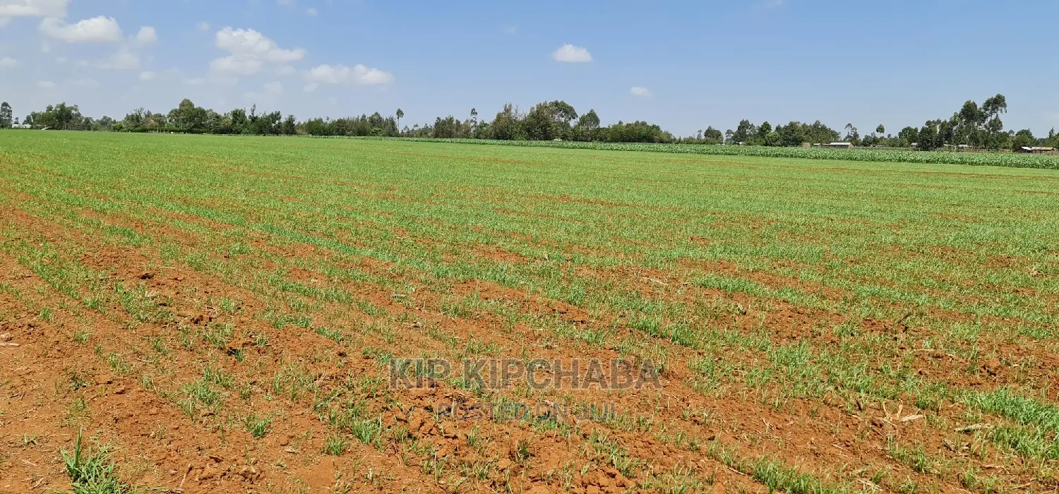 25 Acres Arable Land for Sale in Sergoit Moiben in Rldoret