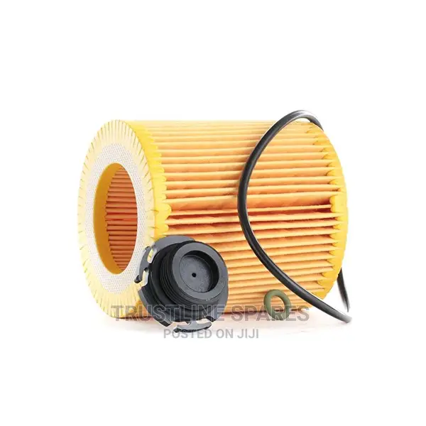 BMW E89,E84,F20,F85,F36,F87 Mann- Oil Filter