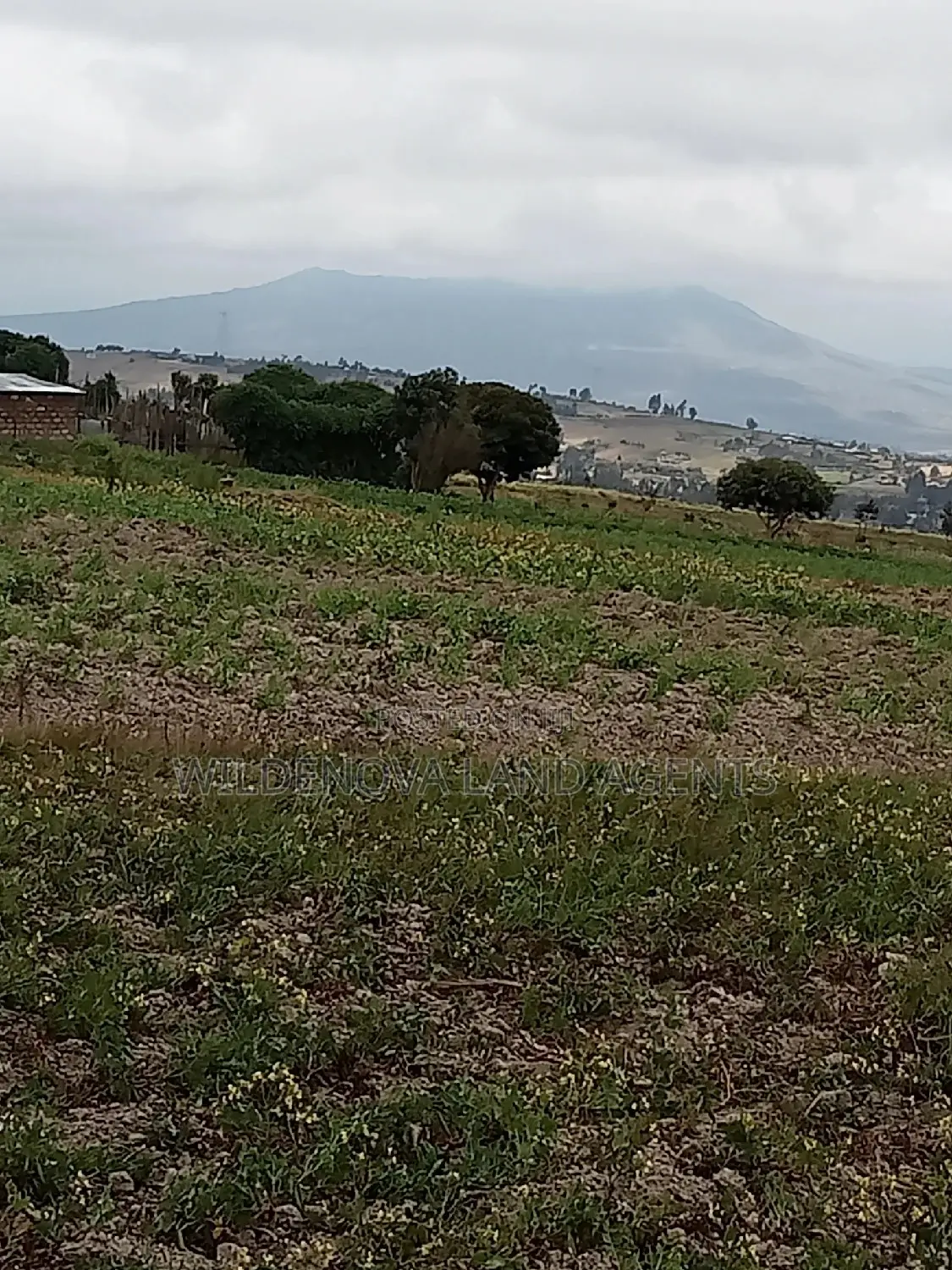 2 Acre of Land on Sale at Kenyatta Road Kinangop