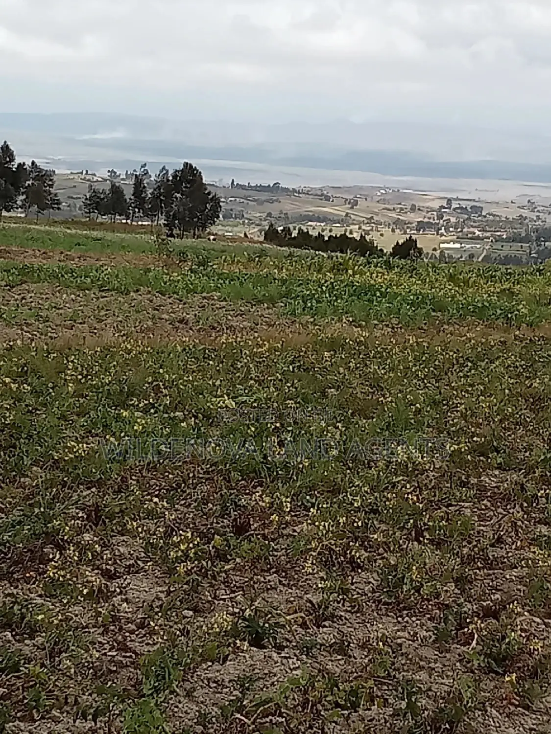 2 Acre of Land on Sale at Kenyatta Road Kinangop