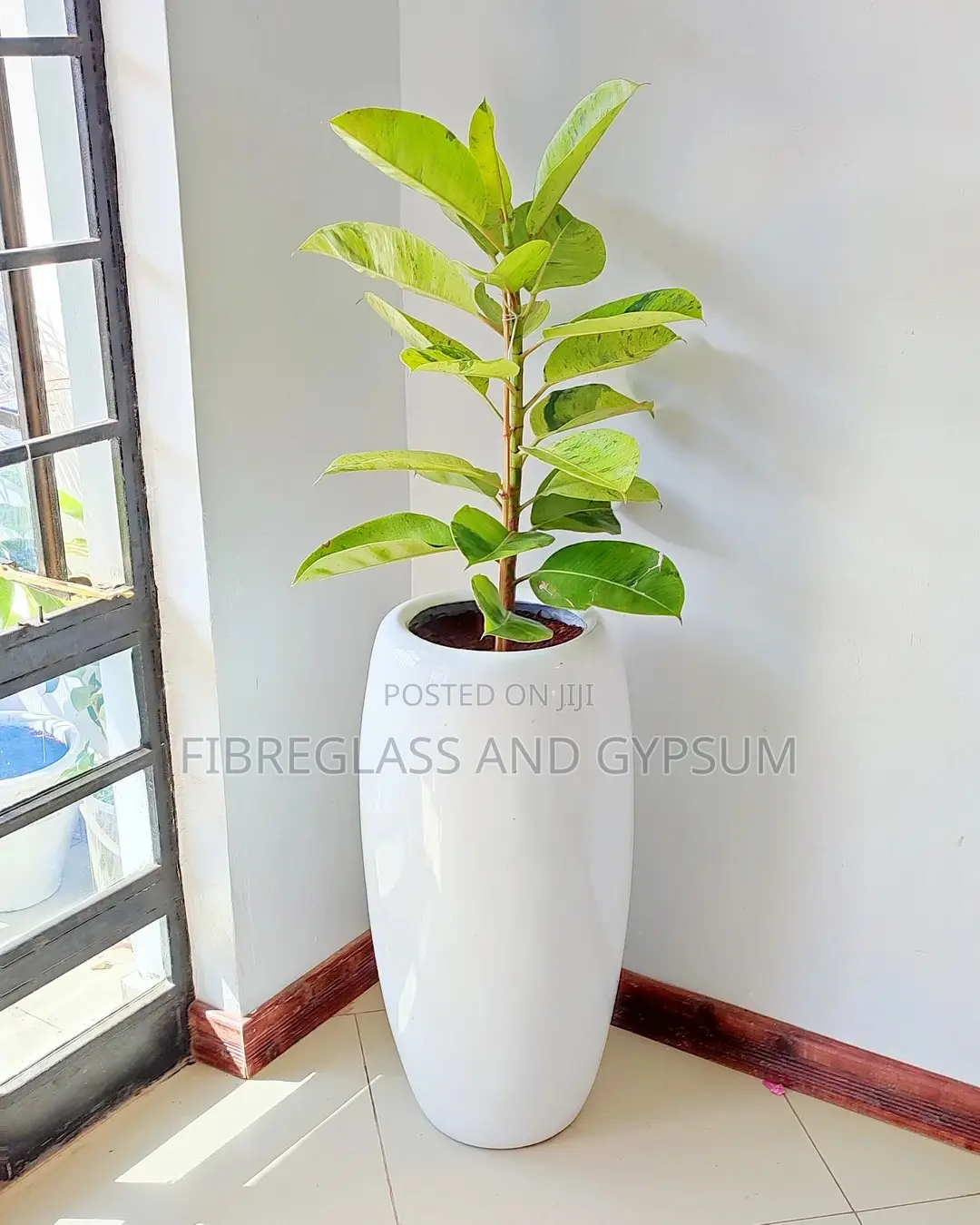 Fiber Pots and Planters