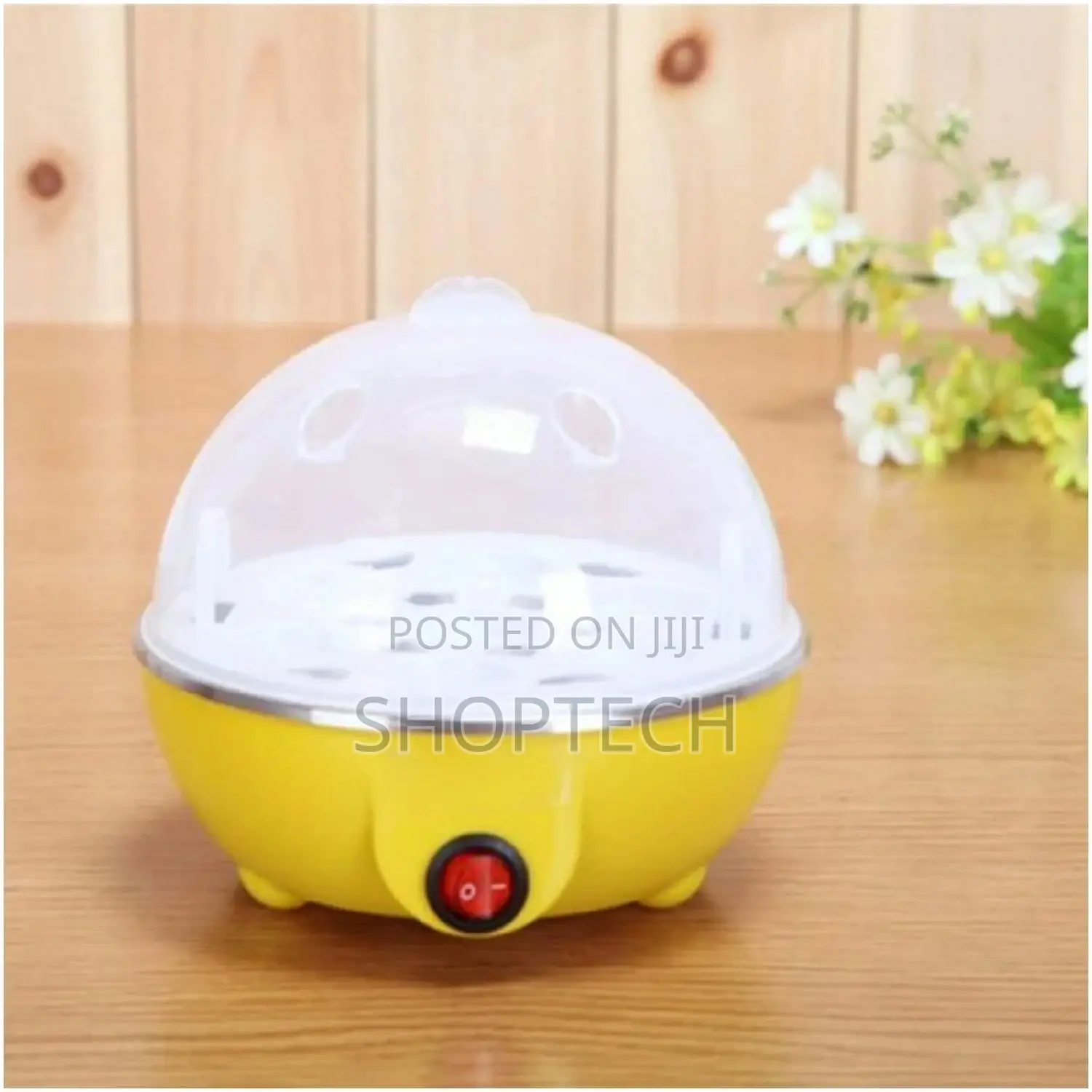 Electric Eggs Boiler