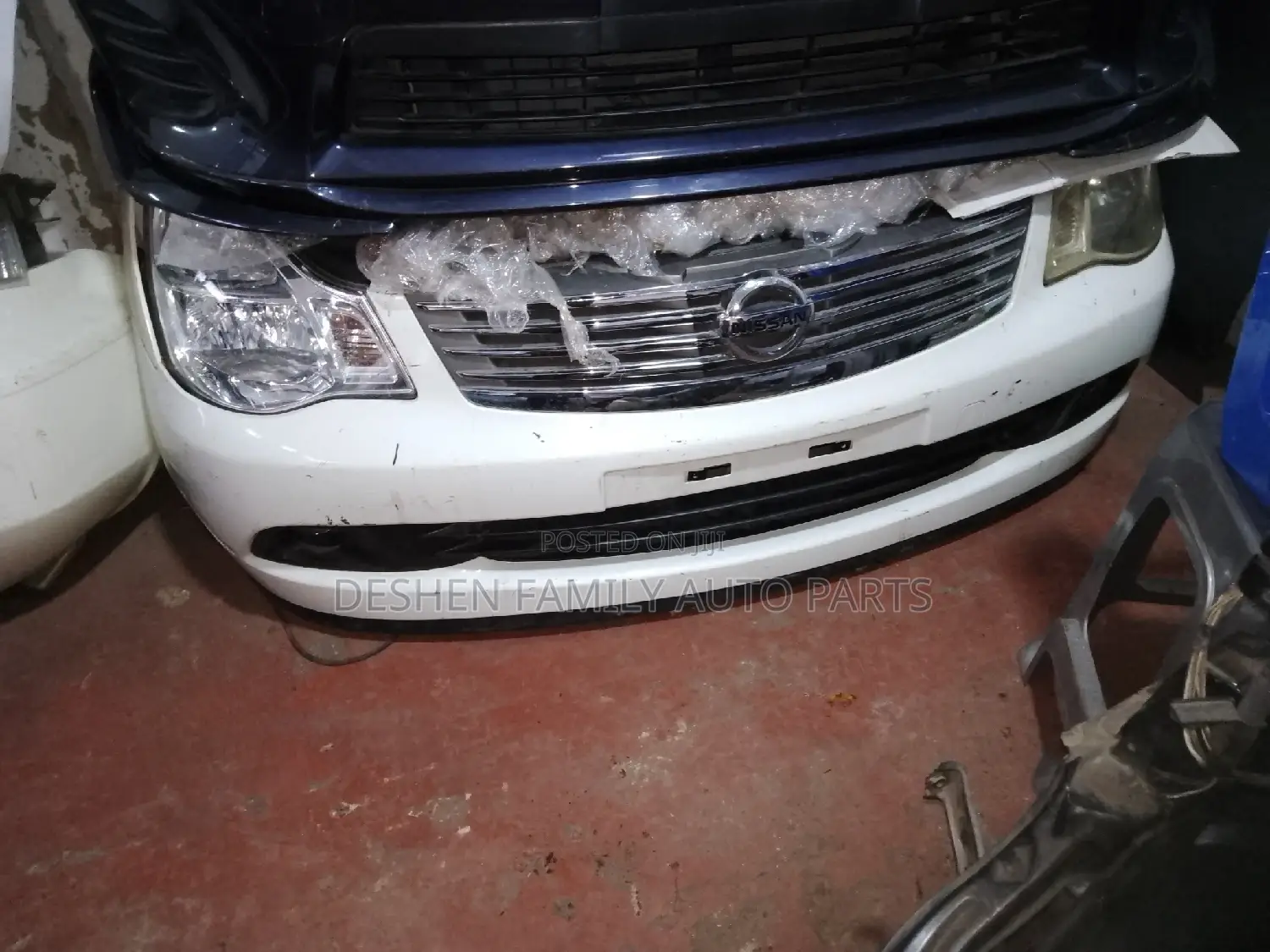 Sylphy/ Blue Band Nose