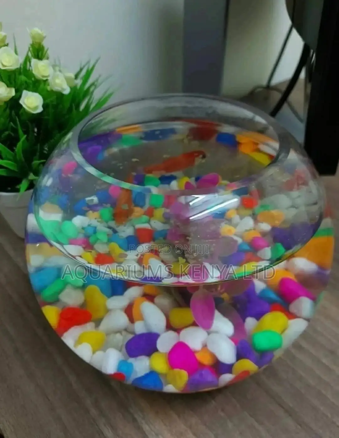 Beautiful 1.5L Fish Bowl