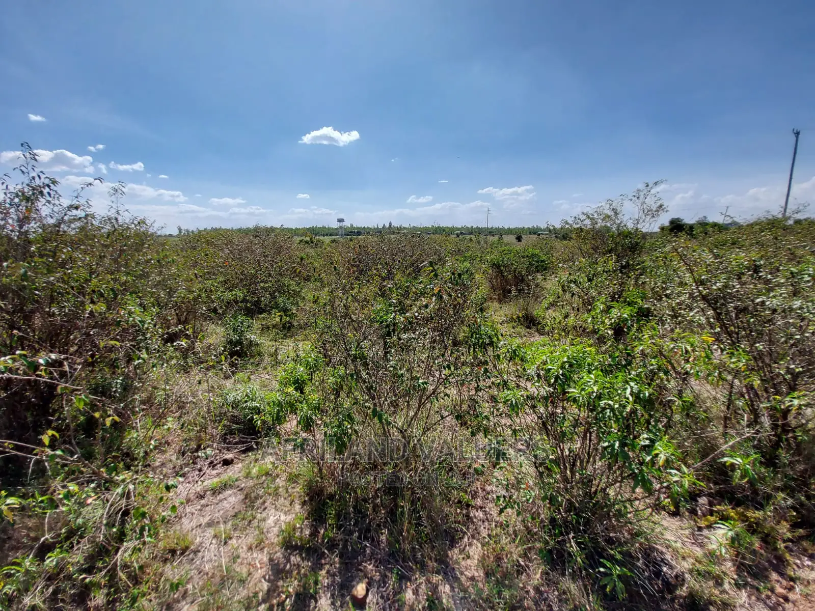 Prime Land for Sale in Tuala-Rongai
