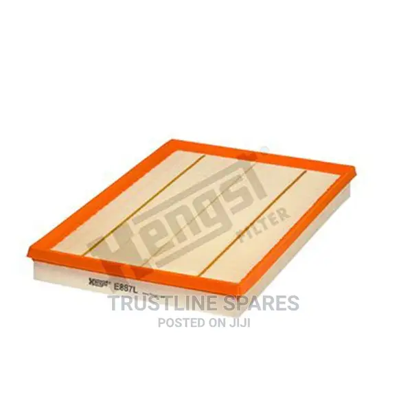 BMW X5(E70) Air Filter- Hengst (E887L)