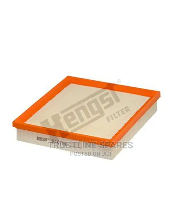 BMW Series 1,2,3,4, -Air Filter- Hengst E1079L