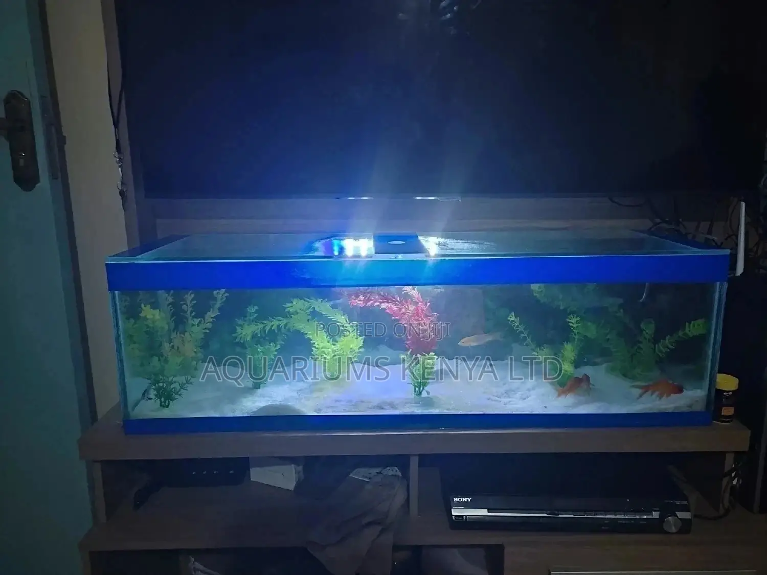 Beautiful Custom Made Aquarium 3ft