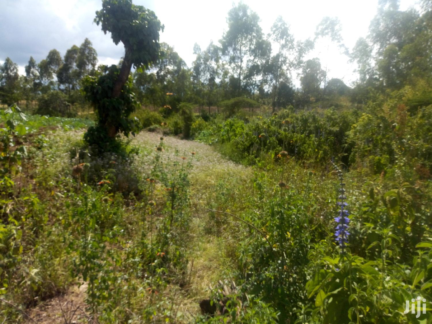 Land for Sale in Njoro