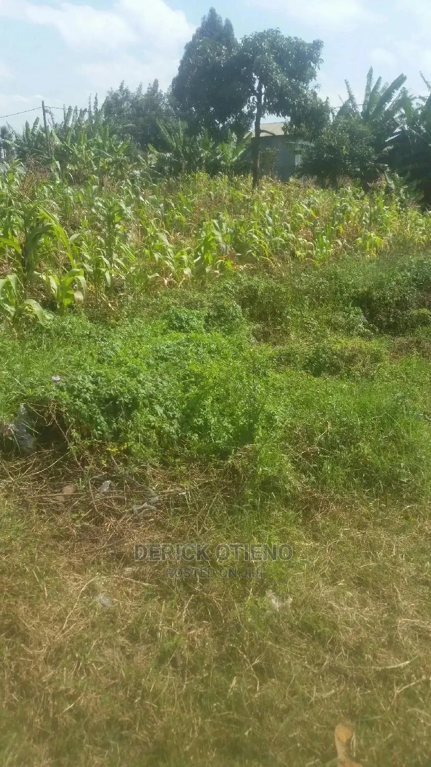 100 by 100 Land for Lease in Satellite Kabiria