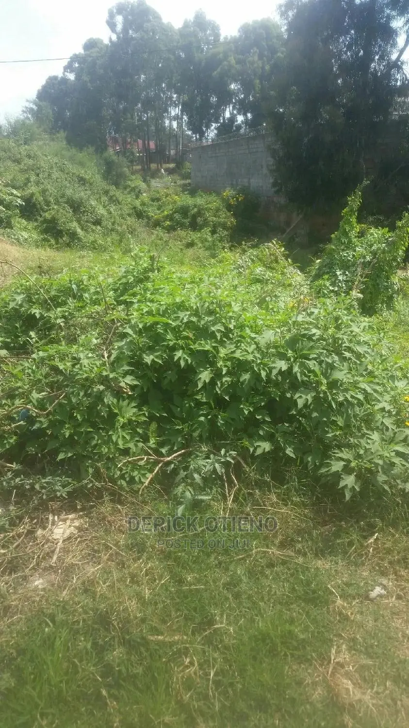 100 by 100 Land for Lease in Satellite Kabiria