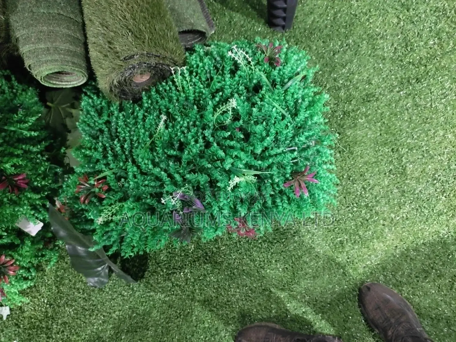 Aquarium Grass Carpet Bigger