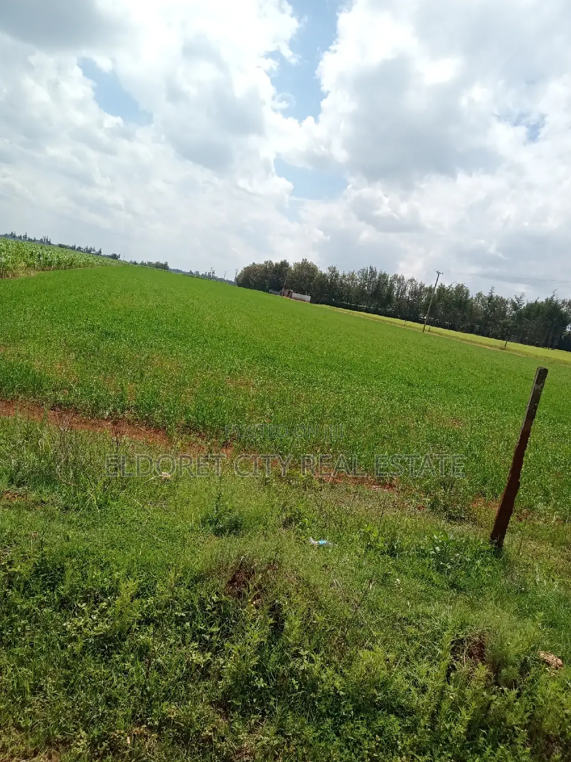 1/2 Acre Marura Less Than 500metres From Tarmac