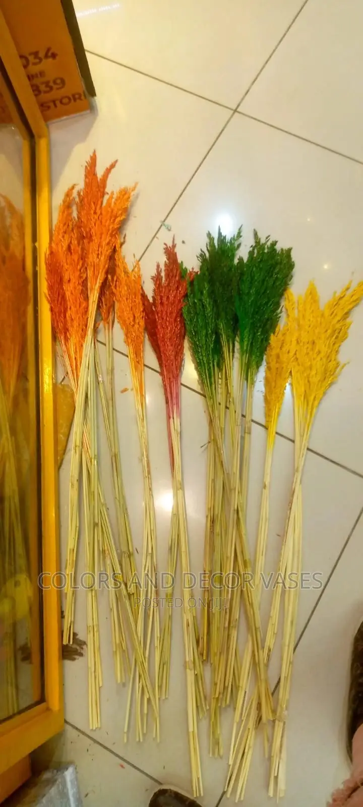 Pampas Grass