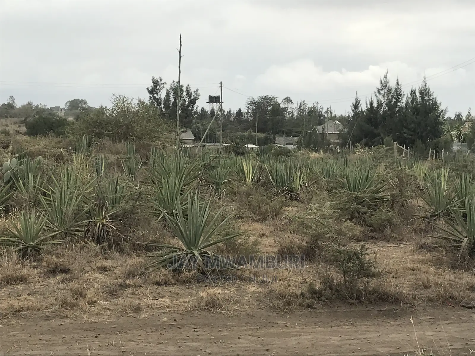 5 Acre Katani for Sale