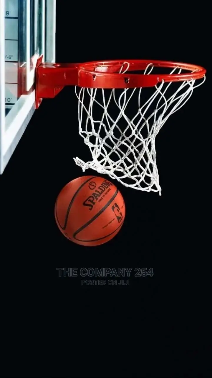 Nba Outdoor Indoor Authentic Spalding Basketball