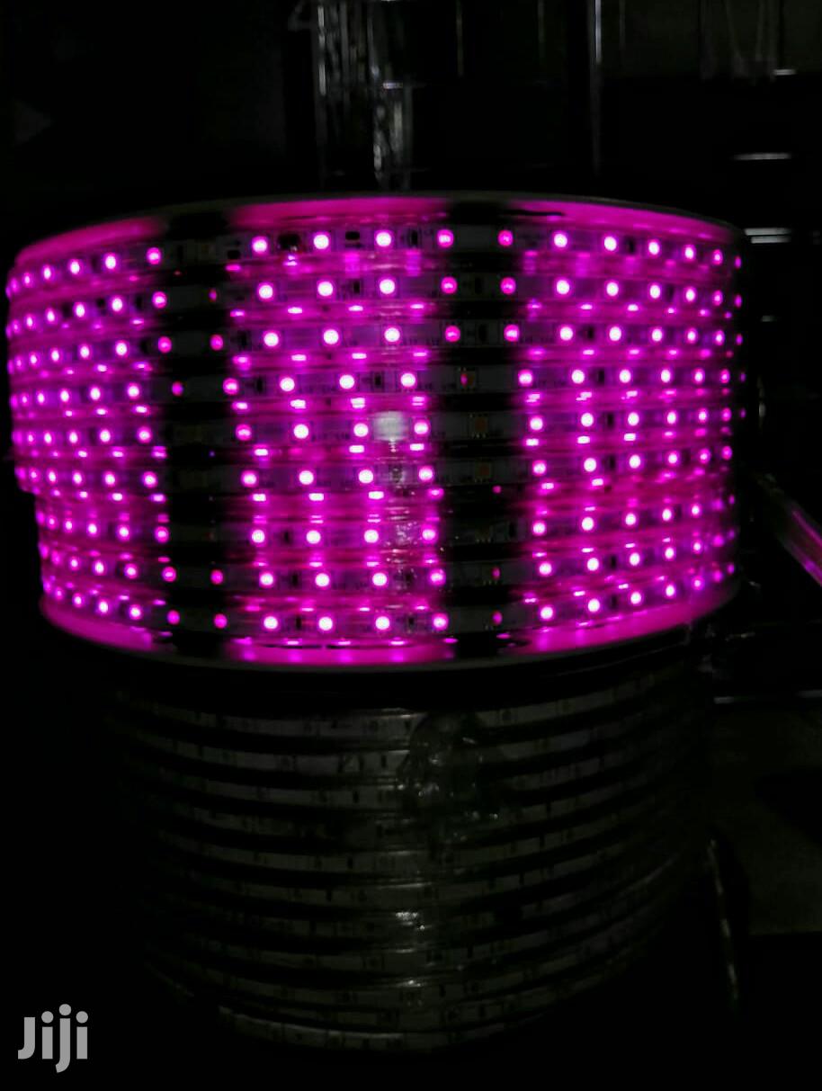 Snakelights Strip Lights Gypsam Lights Decor Lights