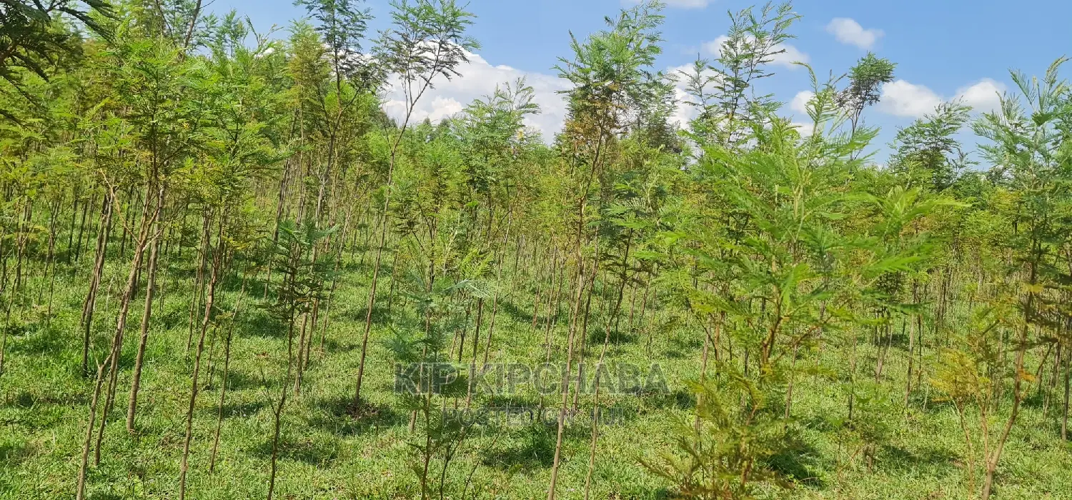 5 Acres Land for Sale in Mlango Kapseret in Eldoret