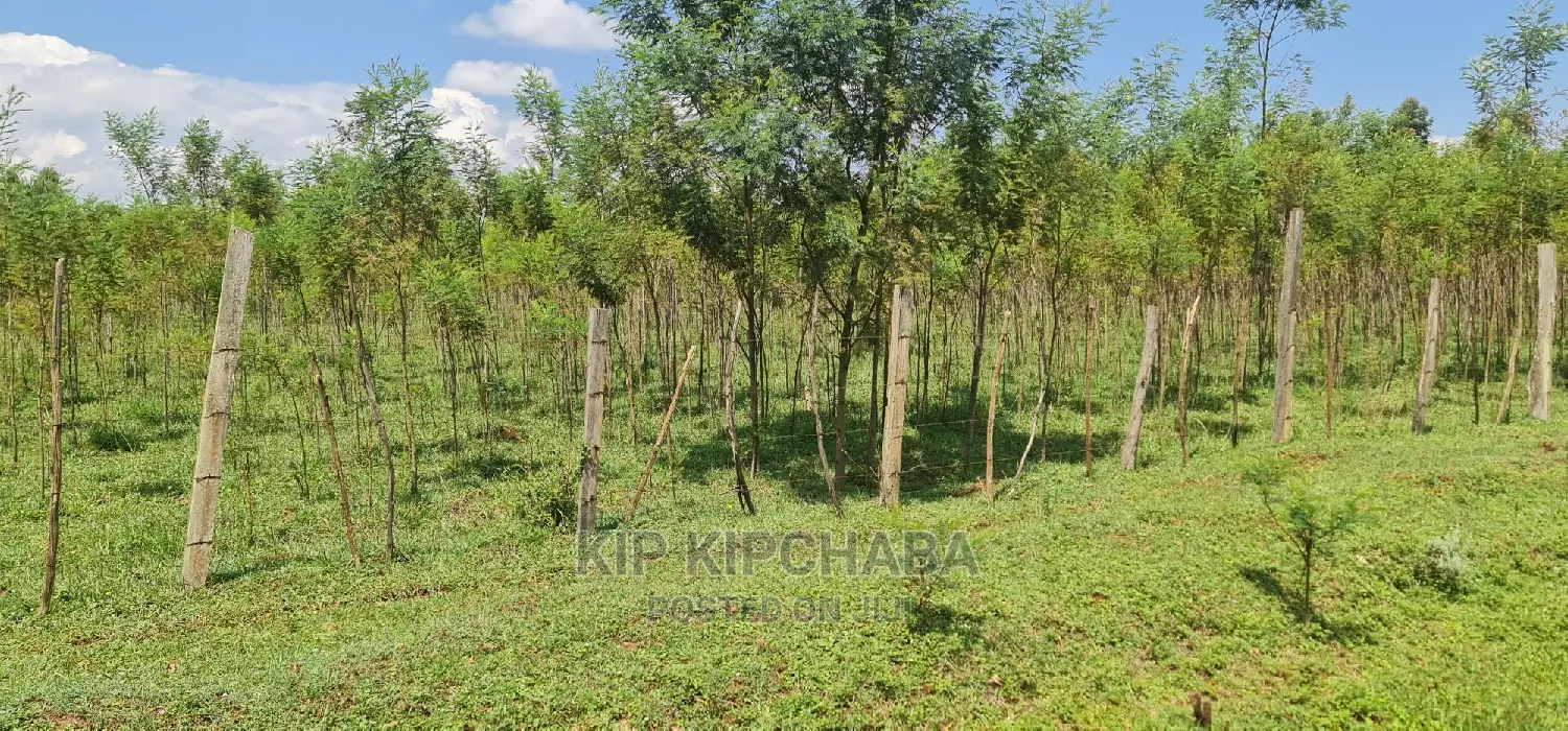 5 Acres Land for Sale in Mlango Kapseret in Eldoret