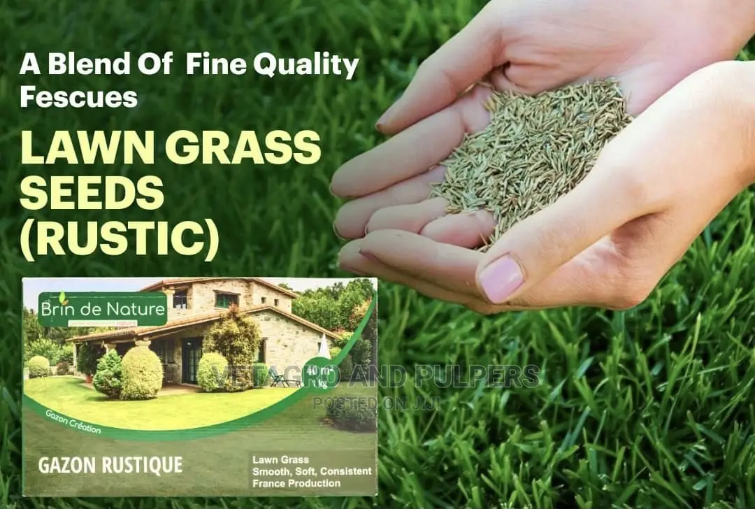 Brin De Nature Lawn Grass Gazon Rustique