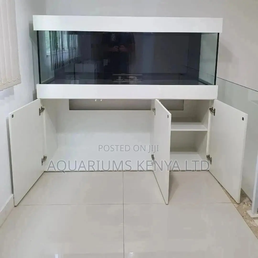 Elegant Aquariums With Fine Art Work