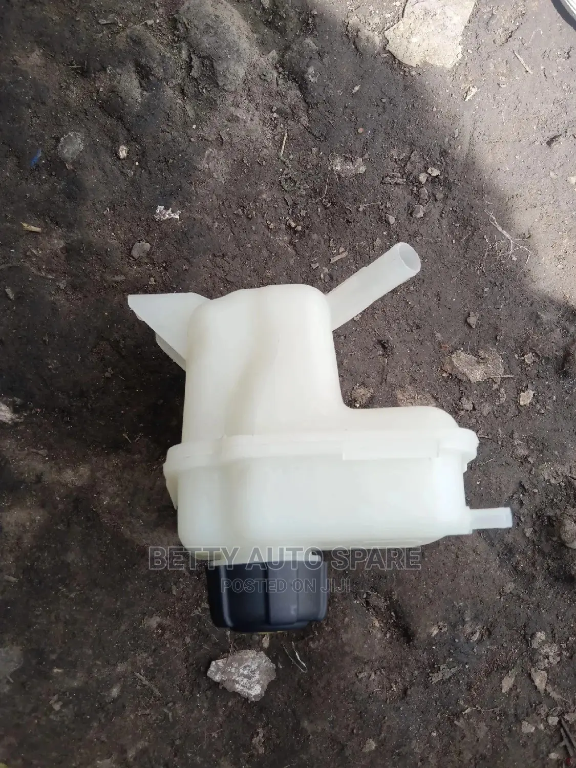 Dualis Coolant Bottle