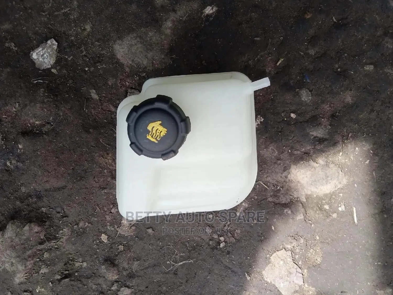 Dualis Coolant Bottle