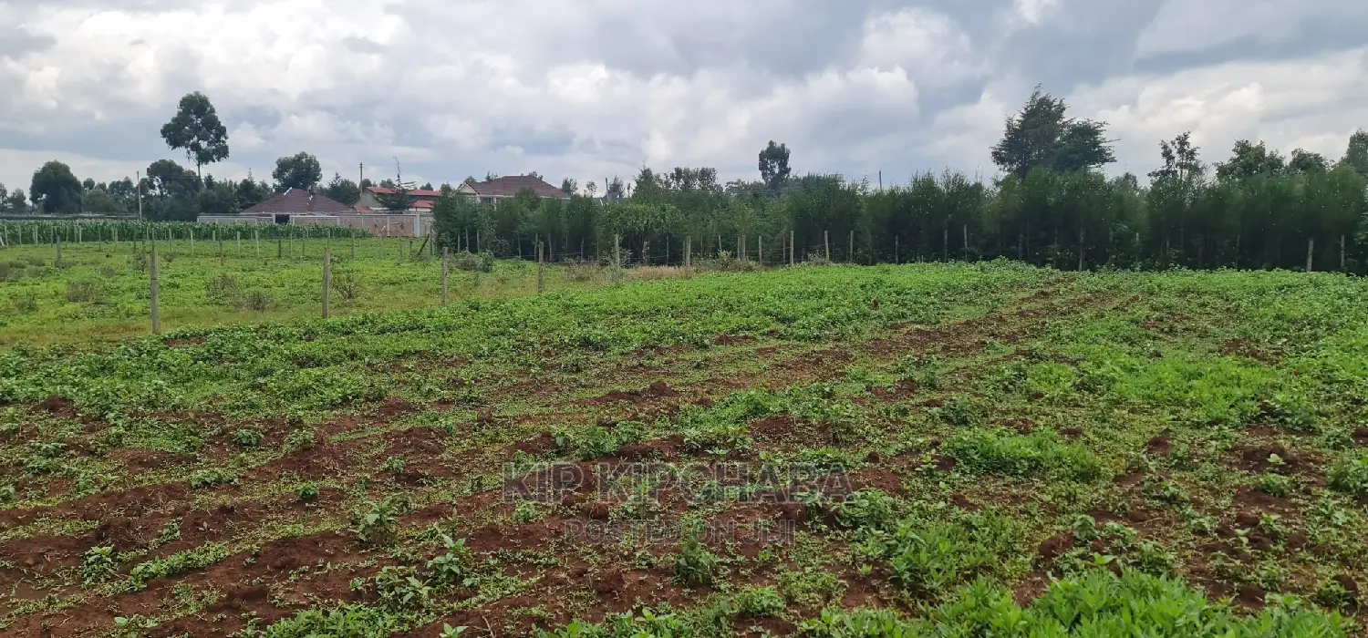 Prime 1⁄4 Plot for Sale in Racecourse Elgongiew in Eldoret