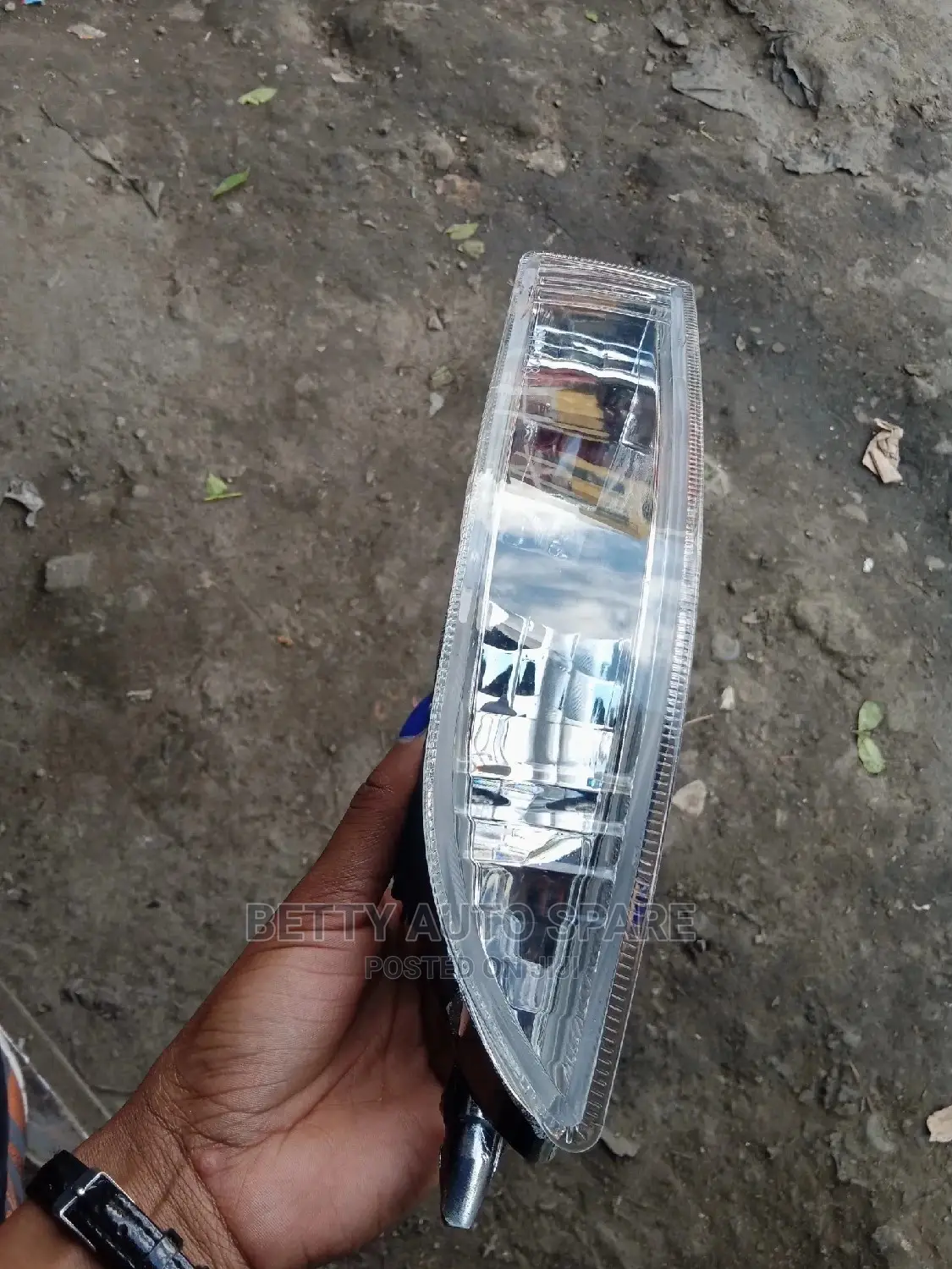 NZE /Fielder Fog Light