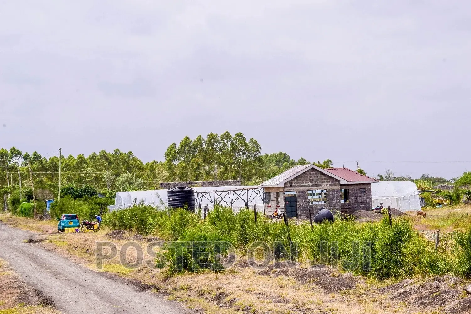 Plots for Sale in Juja Farm