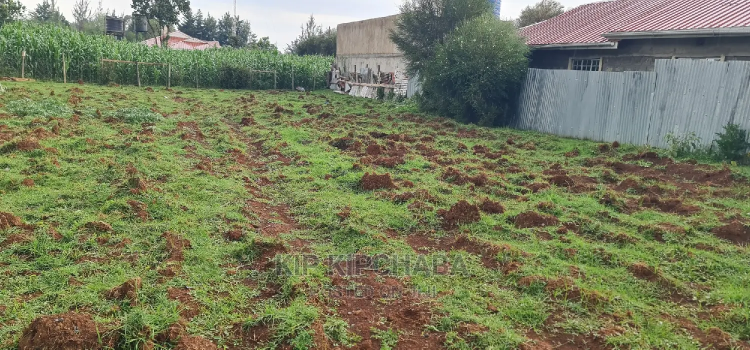 Big 1⁄4 Plot for Sale in Racecours Achievers School Eldoret