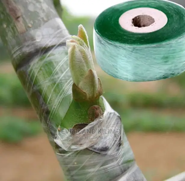 Grafting Tape