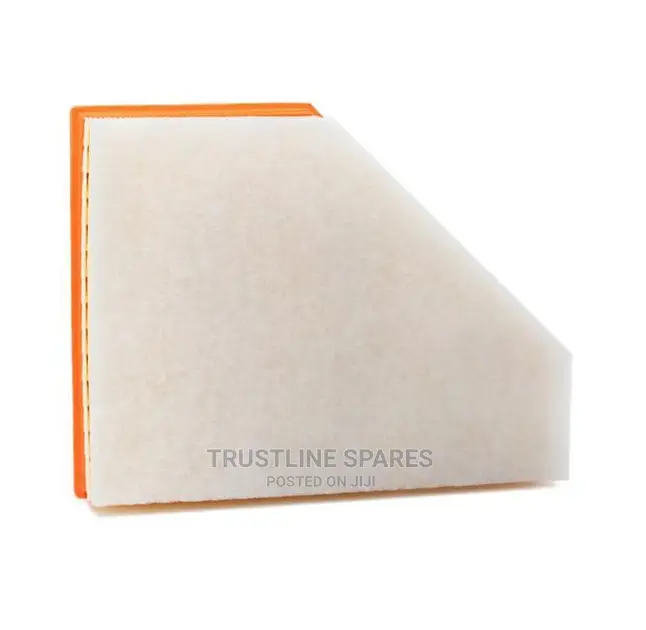 BMW 1, 3, X1 Air Filter- BOSCH- S0119