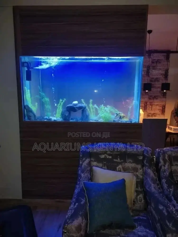 Magnificent Custom Made Aquariums