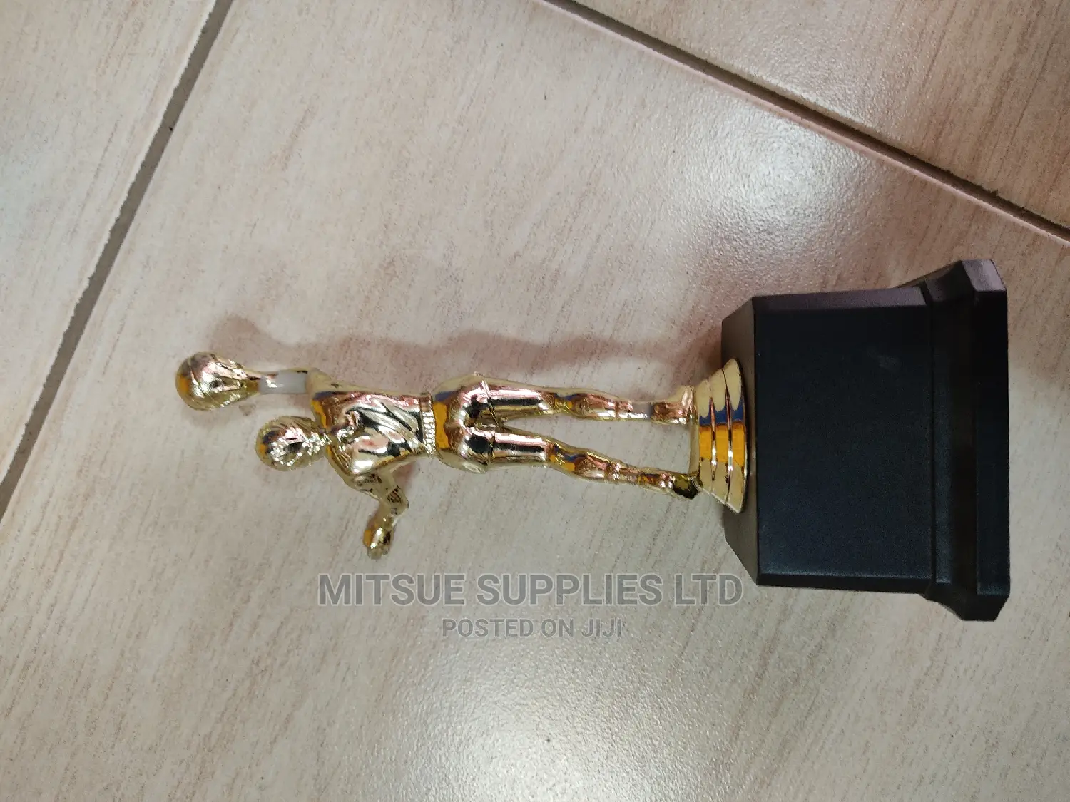 Netball Individual Award MVP- 22cm