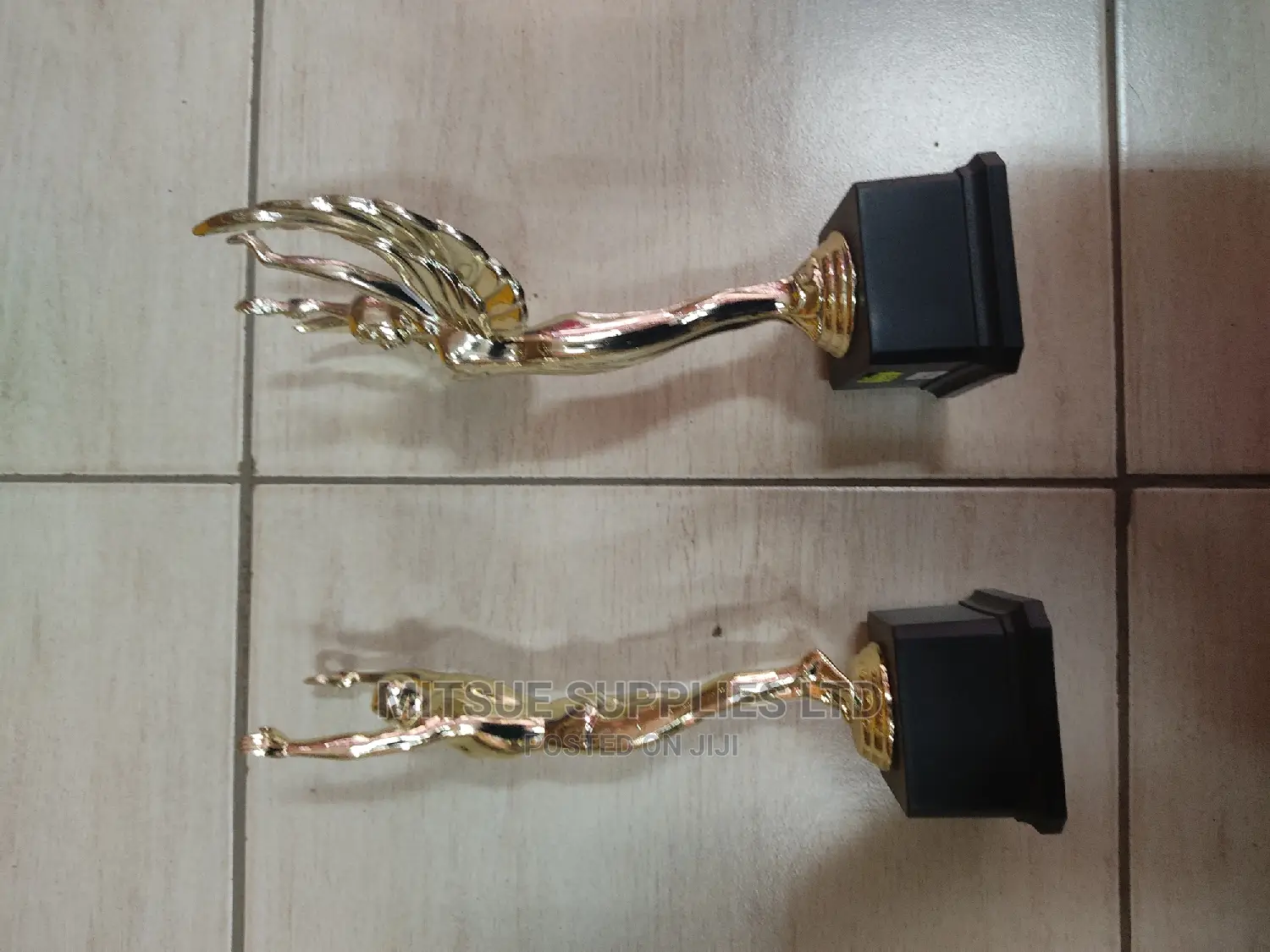 Multi-Purpose Sport/Competition Trophy ( Male or Female)