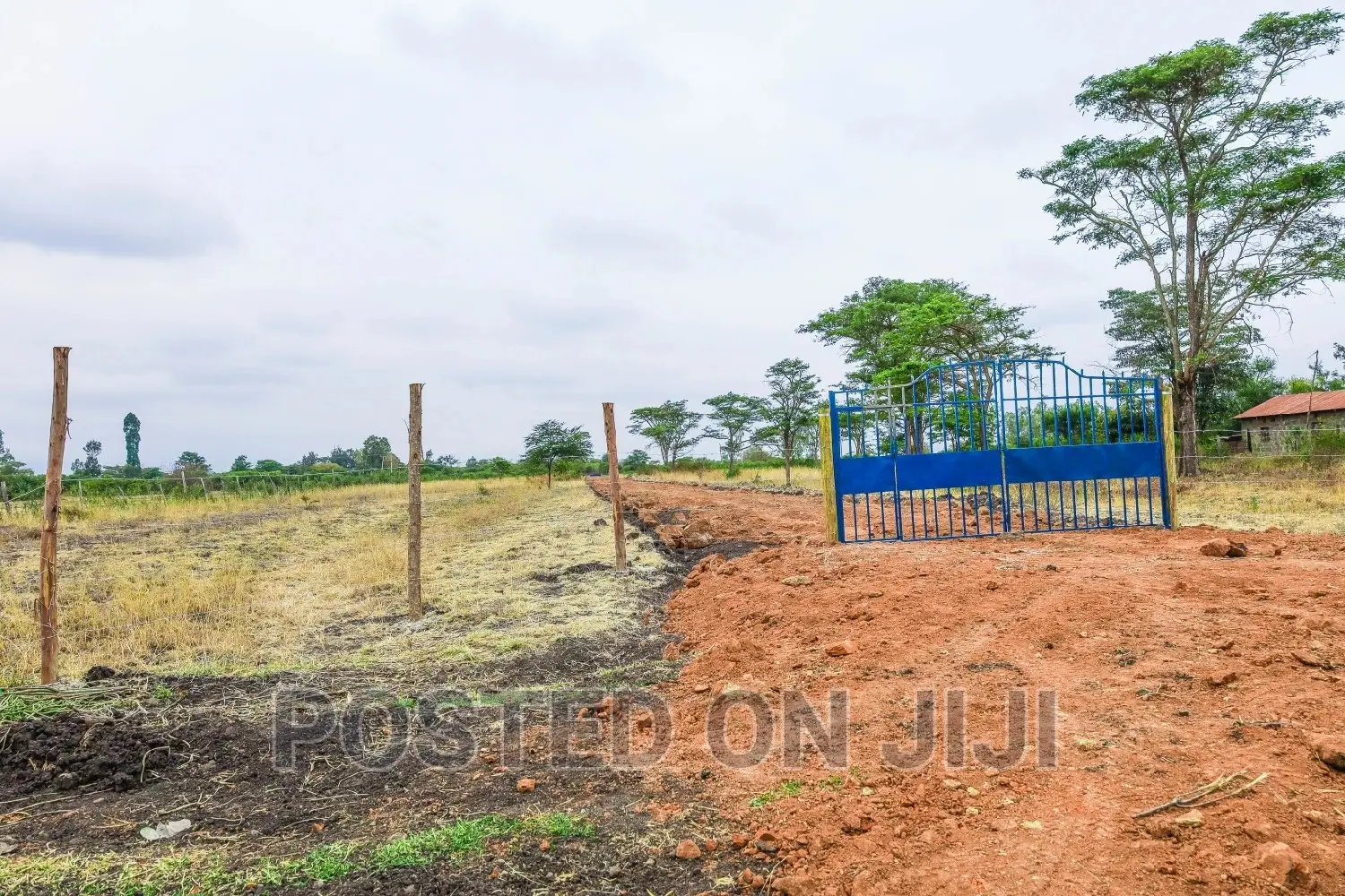 Juja Farm Plots for Sale- 300m From the Main Road
