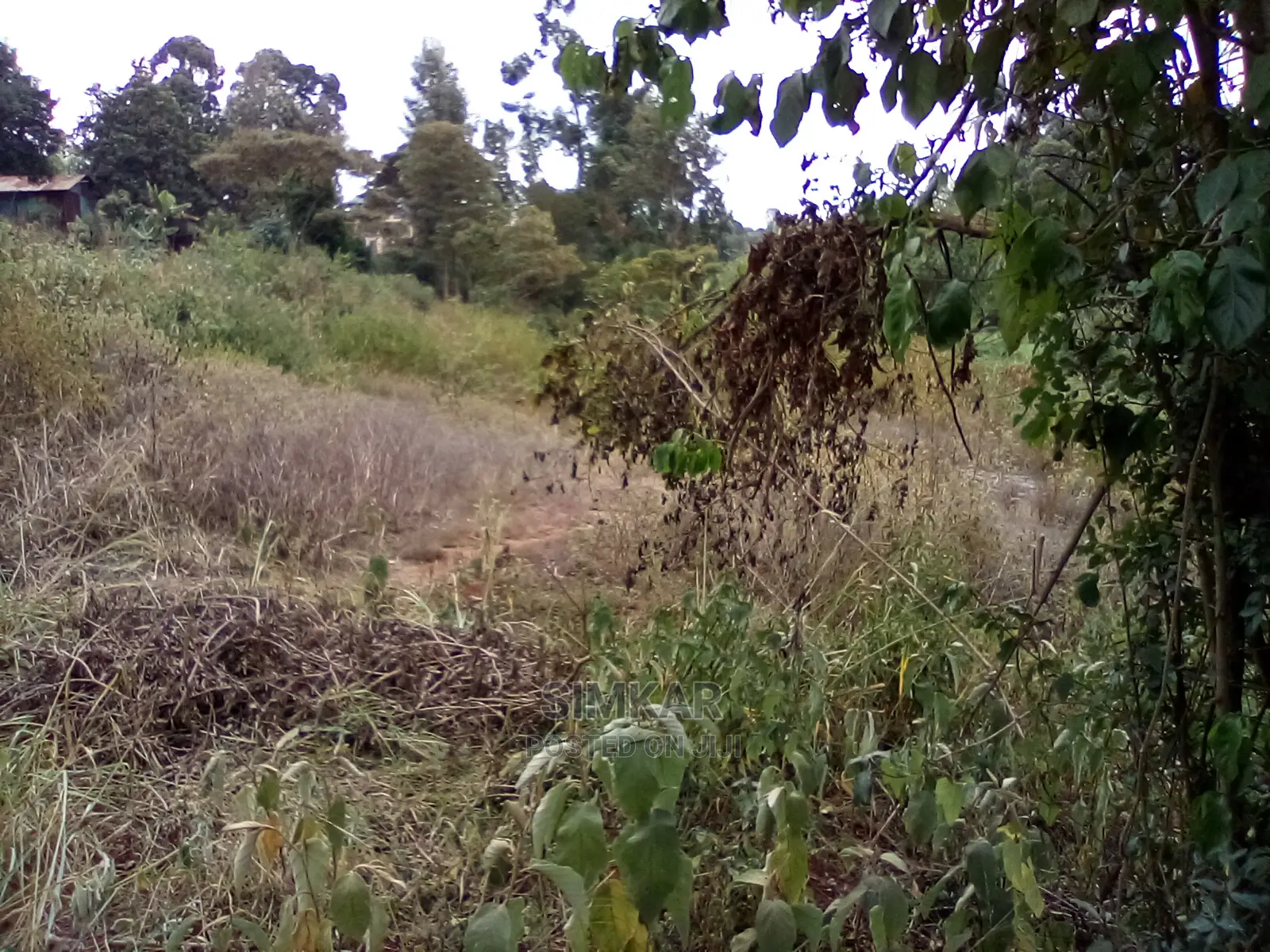 2-Acres of Land for Sale in Wangige