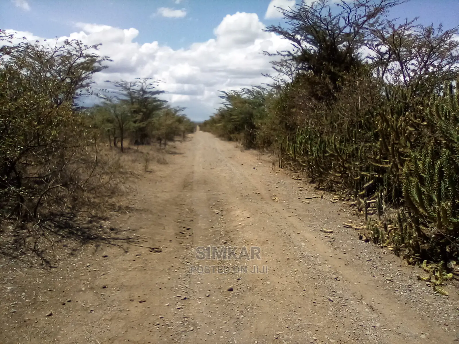 Blocks of Land for Sale in Nanyuki