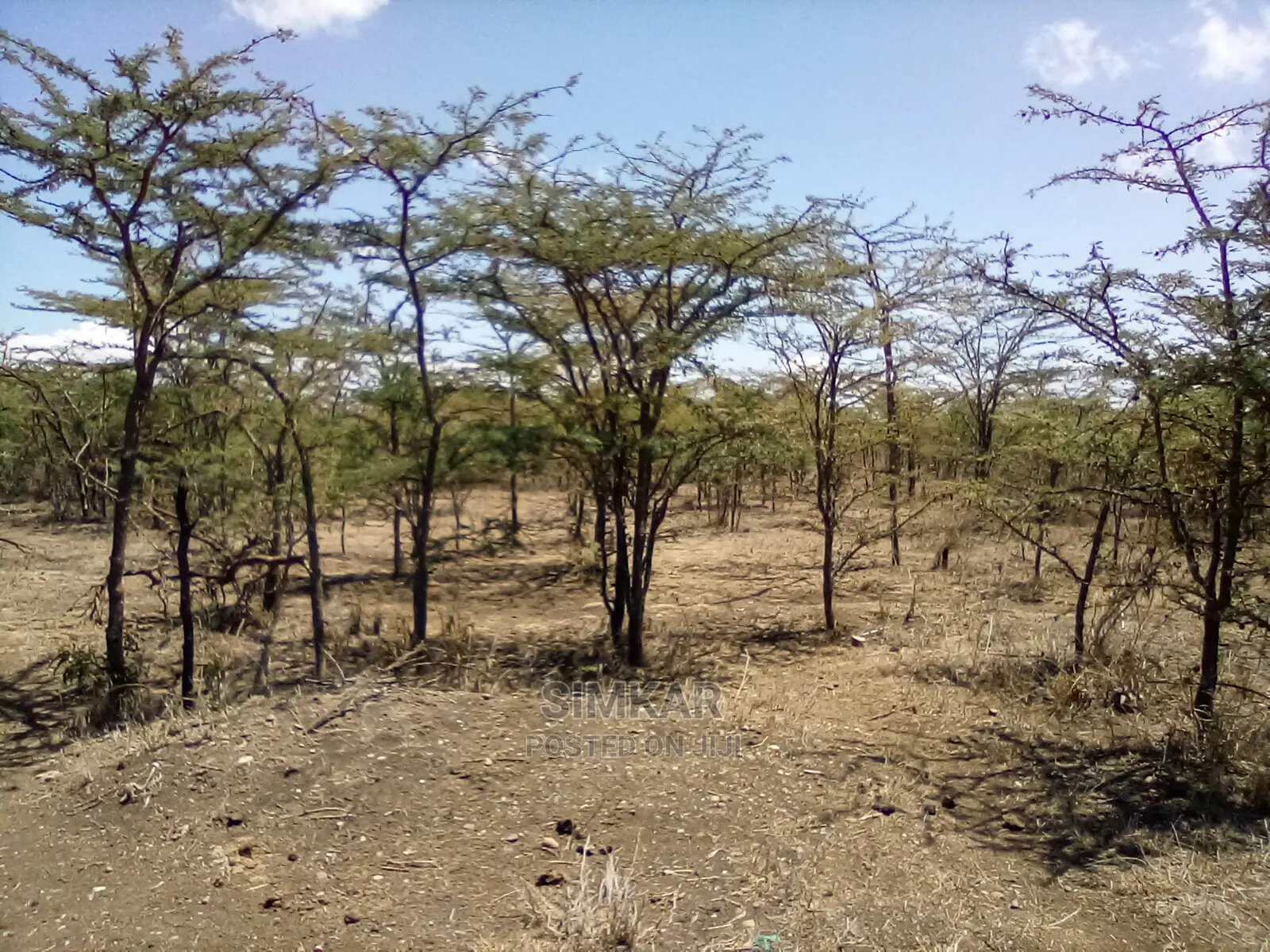 Blocks of Land for Sale in Nanyuki