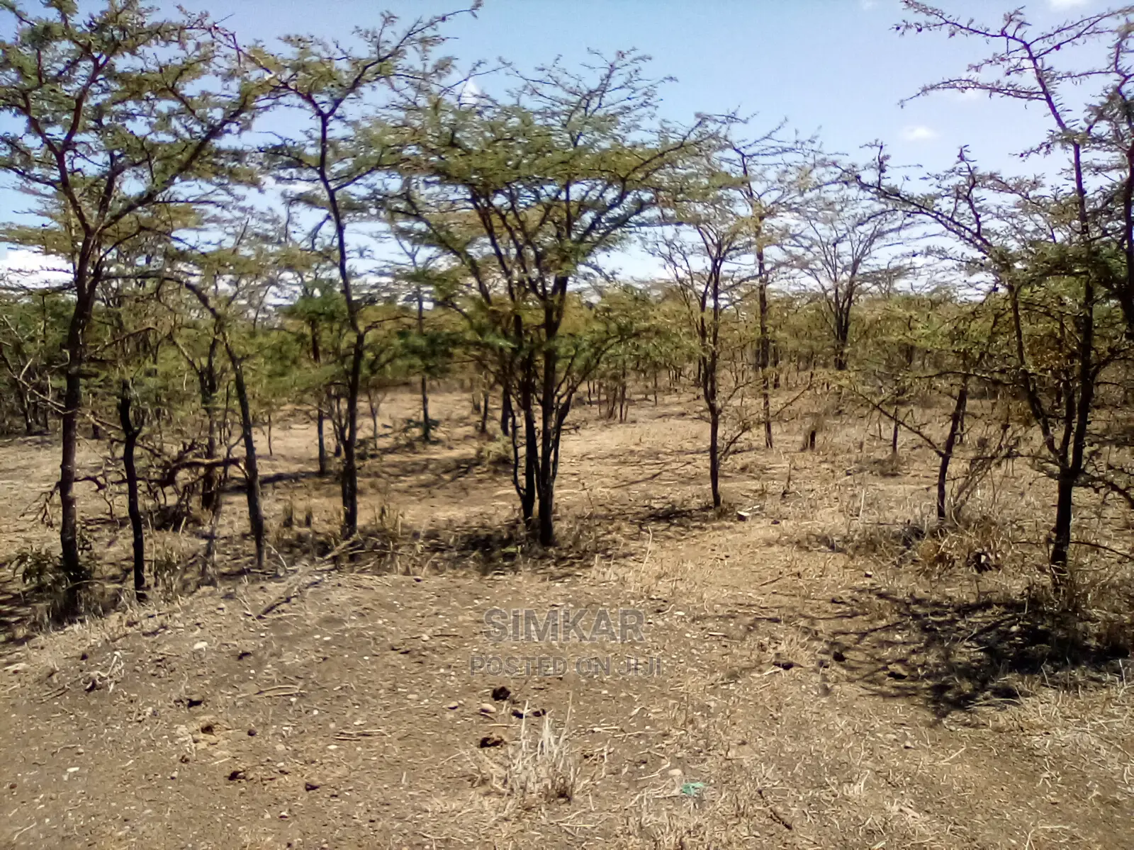 Blocks of Land for Sale in Nanyuki