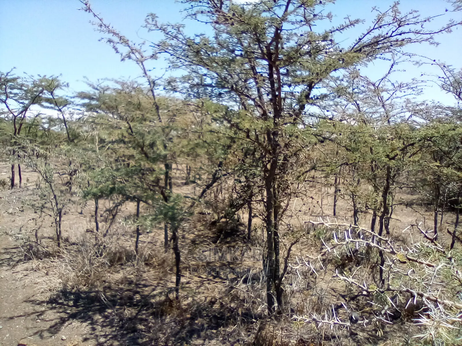 Blocks of Land for Sale in Nanyuki
