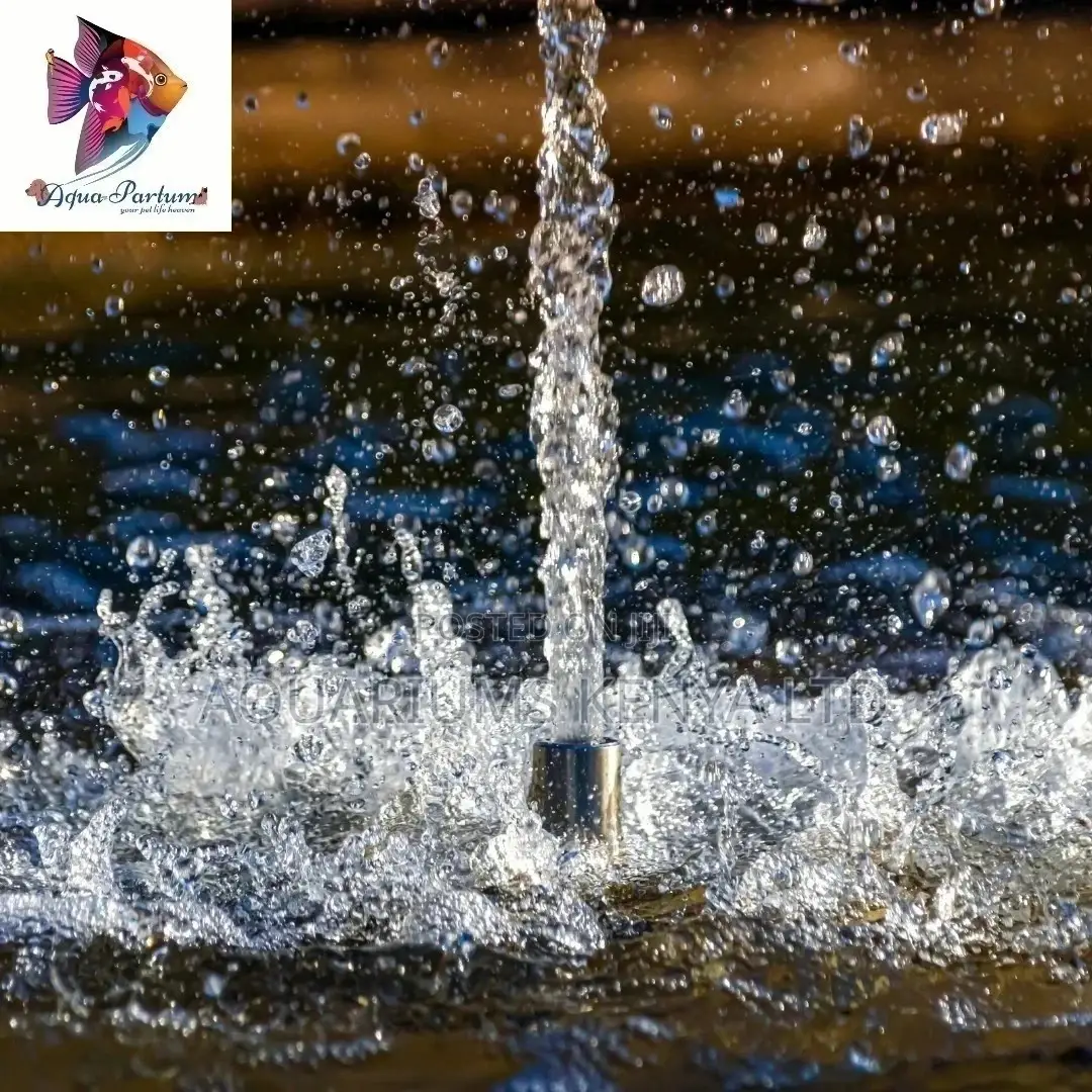 Cat Fish Rain Drop System for Breeding