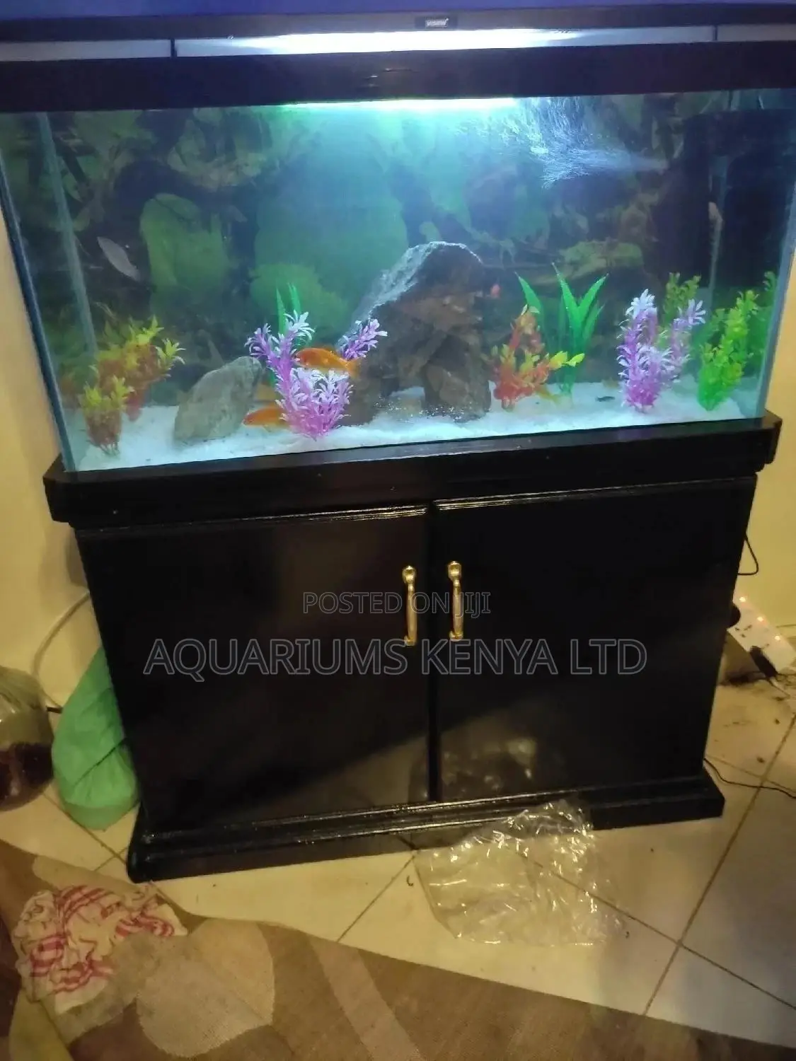Aquarium Fish Tank,A Cabinet, Aquarium Filtration Complete