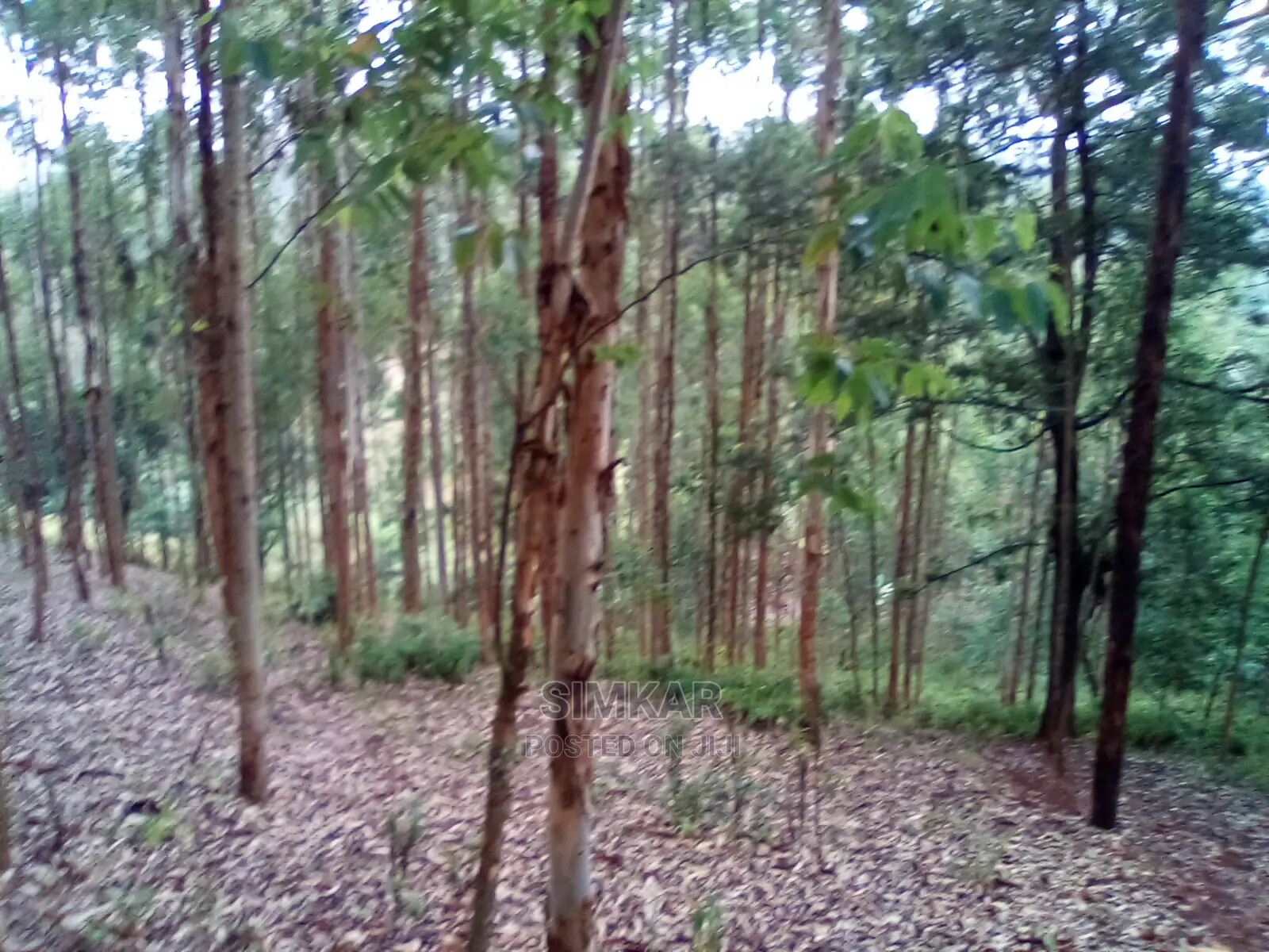 2.3-Acres of Land in Upper Matasia Ngong