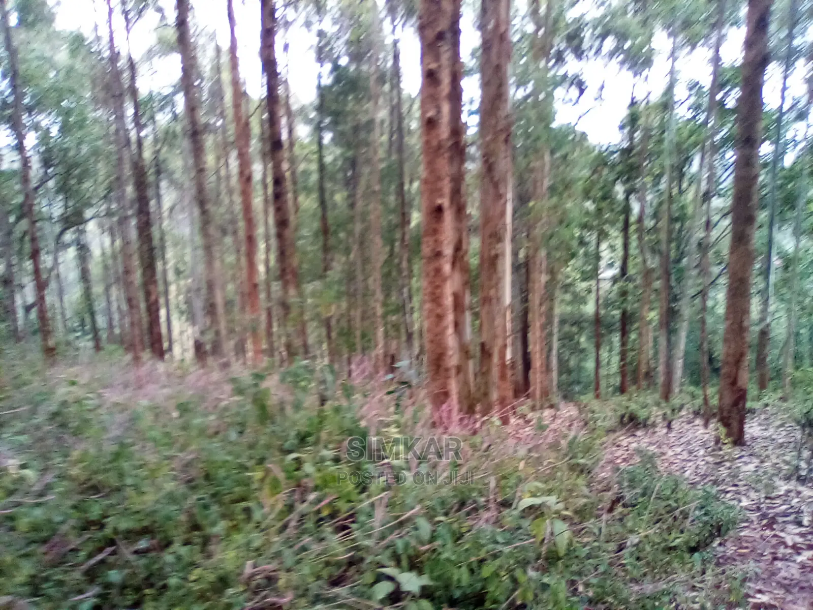 2.3-Acres of Land in Upper Matasia Ngong