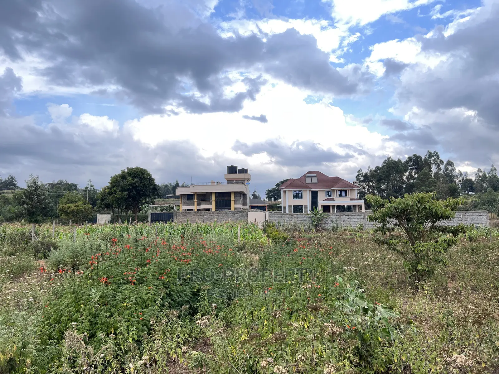 Prime 50x100ft in Gikambura Jambu Tv Road