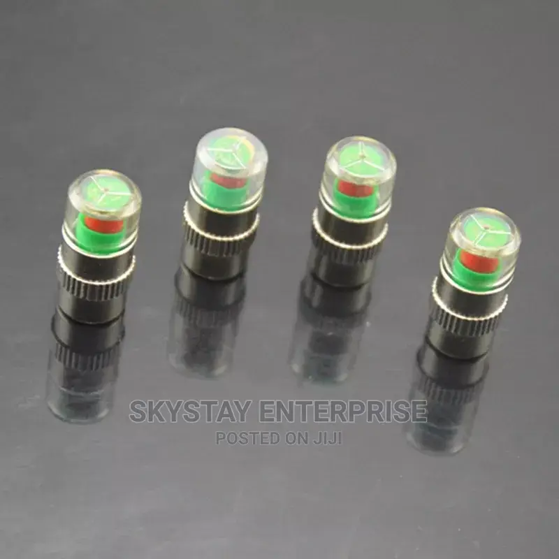 Tire Pressure Monitor Dust Cap Plug
